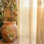 collections de voilages, pour décoration intérieur